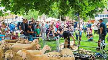 Aktionstag in Wildberg: Vorführungen rund ums Schaf
