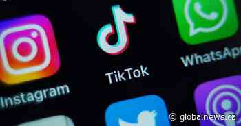 Liberals set to introduce bill banning social media for kids under 16