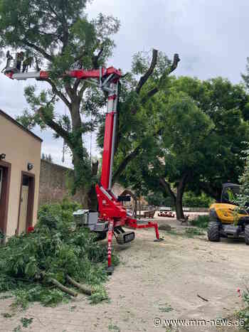 Weinheim – Kleinkinderspielplatz vorerst gesperrt