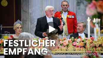 Video zeigt royalen Empfang für Steinmeier in den Niederlanden