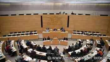 Landtag von Baden-Württemberg: Abgeordnete wollen nicht auf höhere Diäten verzichten