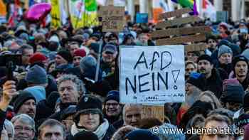 Wirbel um Demo gegen die AfD: Polizeieinsatz vor dem Hamburger Rathaus