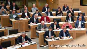 Gehalt in Baden-Württemberg: So viel verdienen Landtagspolitiker im Südwesten