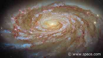 Swirling spiral galaxy will hypnotize you | Space photo of the day for June 10, 2026