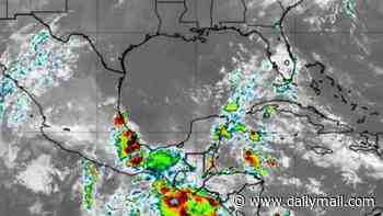 Hurricane trackers issue first threat warning as tropical disturbance brews in Gulf of America