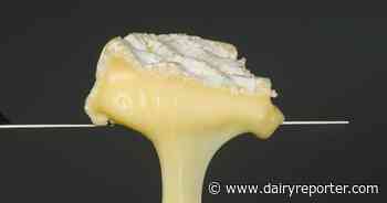 How texture is elevating dairy and alt dairy
