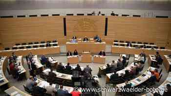 Baden-Württemberg: AfD-Abgeordneter spricht im Landtag von „Badensern“