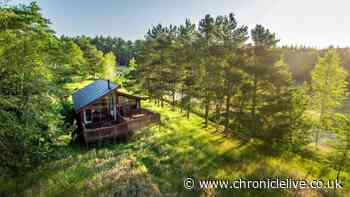 'Idyllic' forest escape 2 hours from Newcastle with deals on last-minute holidays