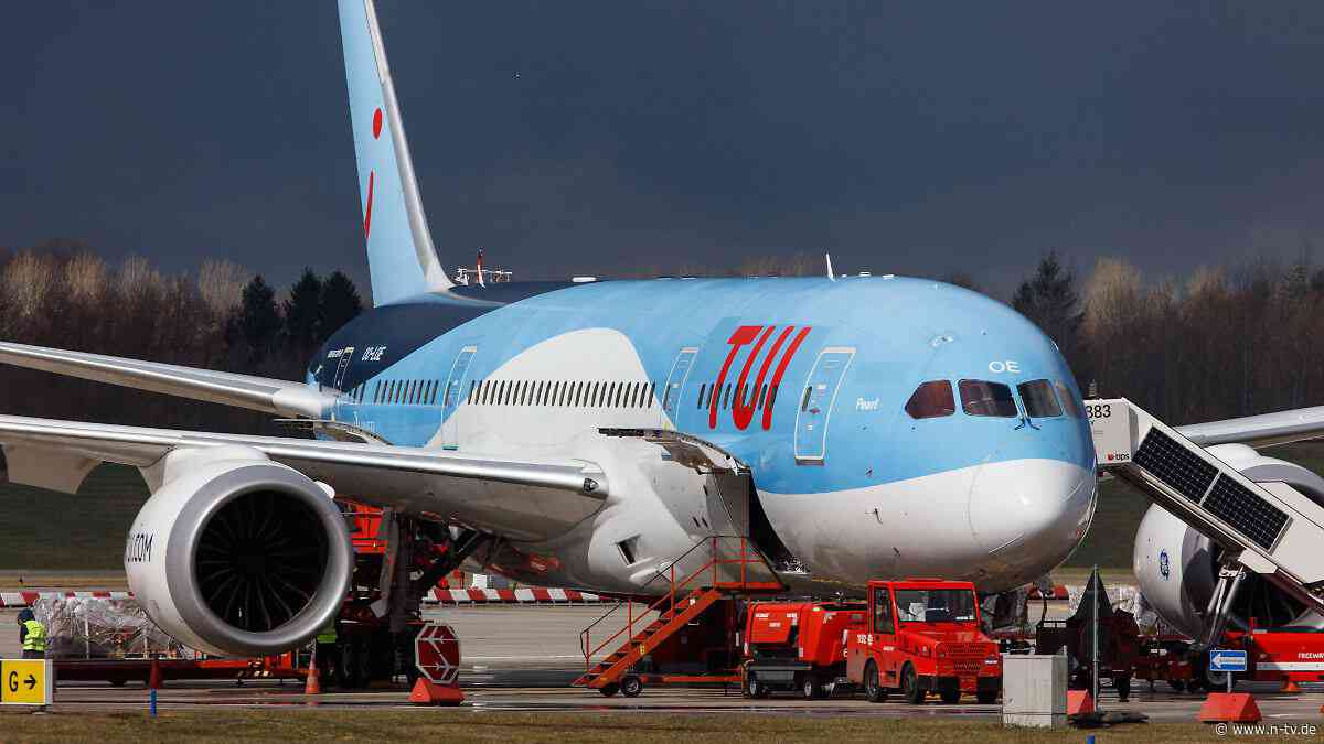 Maschine bleibt am Boden: Schlange legt Flugzeug tagelang lahm