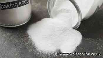 Everyone in Wales urged to sprinkle baking soda on their beds this week
