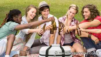 Cooler bag with 60-can capacity great for World Cup beers and more this summer