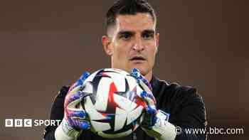 Crawley bring in ex-Arsenal keeper Mannone as coach