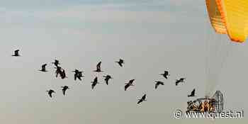 De coolste beelden van wetenschappers aan het werk: ter land, ter zee en in de lucht