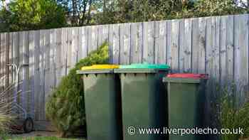 3 garden items that should never go in the bin
