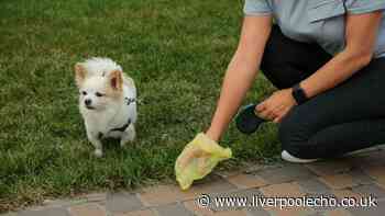 'My neighbour lets their dog poo in my garden - one thing will stop it happening'