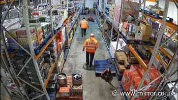 CCTV footage captures harrowing moment worker falls through roof