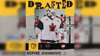 Brantford Bulldogs draft 2nd ever female player into the Ontario Hockey League