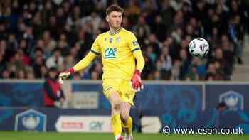Newcastle's first summer signing is Reims keeper