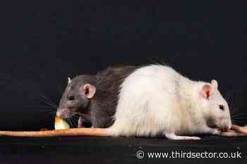 100-year old animal welfare charity changes 'confusing' name