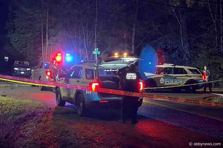 South Surrey extortion trio plead guilty, sentenced in court