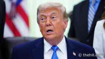 Trump rips into Platner after primary win: 'Low-level thug'