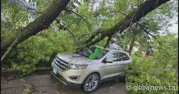 Thousands without power in southern Manitoba after storm causes ‘chaos’