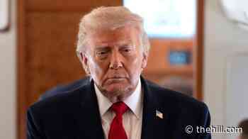 Trump says more Iran strikes coming today 