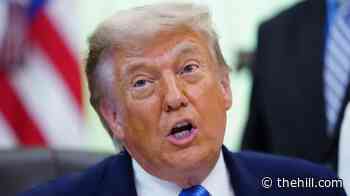 Trump says voter fraud claims forced California to 'approve' Hilton
