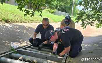 Dog rescued from storm drain in Stillwater