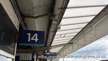 Manchester is making a £1m case for a project 'created from the ashes of HS2'