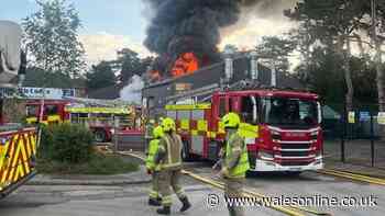 Hertfordshire zoo blaze tragically kills all animals as fire rips through children's soft play centre