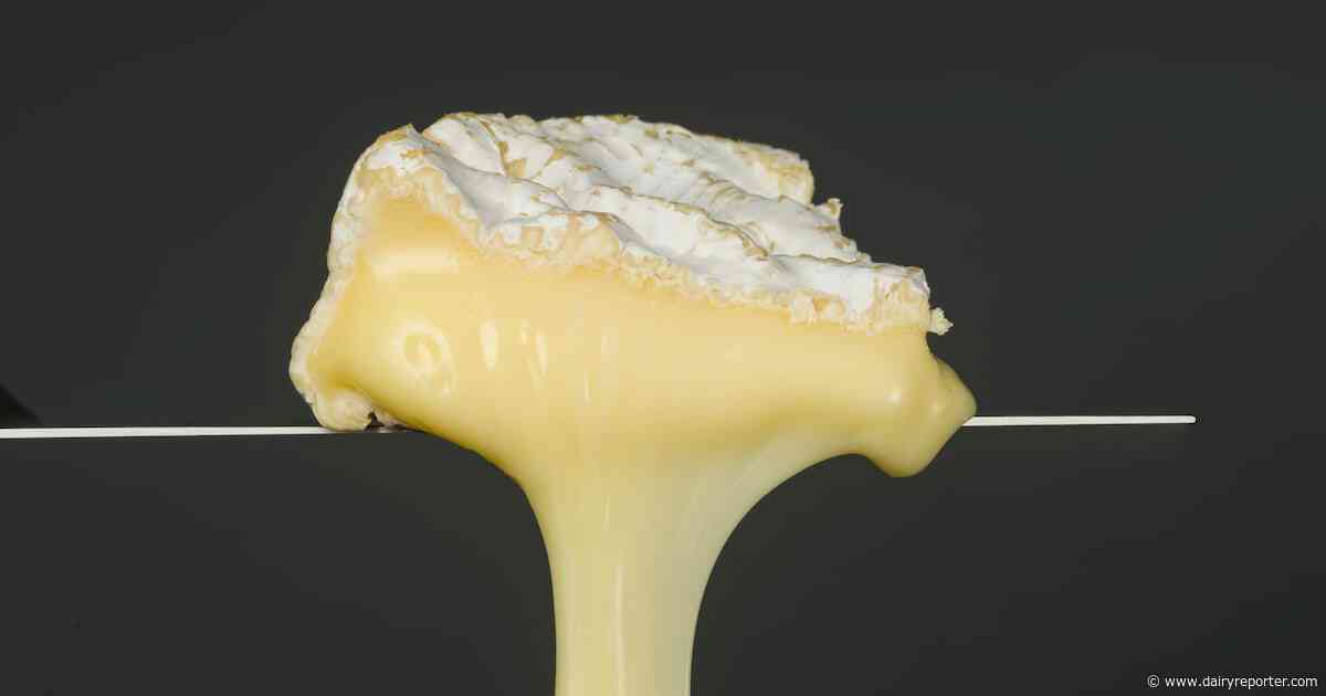 How texture is elevating dairy and alt dairy