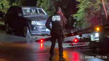 Trio pleads guilty, sentenced in extortion-related Surrey shooting