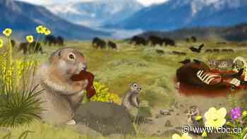 Frozen squirrel poop from Yukon is a treasure trove of woolly mammoth, horse DNA