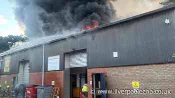 Fire tears through Kids soft play and mini zoo on fire killing all animals