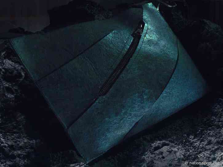 Jurassic purse: Handbag made from 'T-Rex leather' on auction could fetch $800K