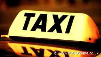 Taxi driver who took kids to school wasn't properly licensed