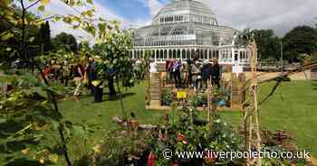 Stunning pictures of garden show at Sefton Park Palm House