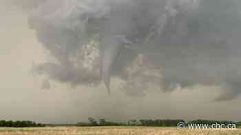 ​'Pretty surreal': Strong tornado tears through southeast Sask.