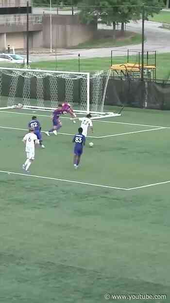 Absolute SCENES from Carlos Zambrano with the GAME WINNER 🔥🔥#NERevsII