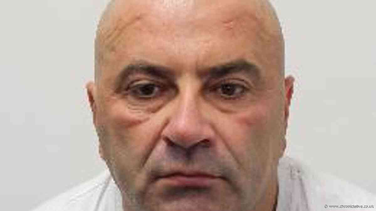 Manhunt for rapist at large after he's freed from jail by mistake