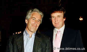 'Predilection for Nipples': The Epstein File Claim About Trump That the White House Buried