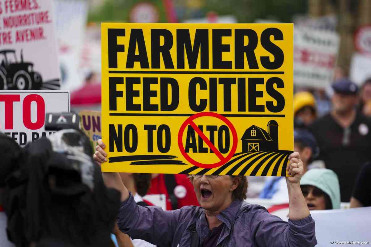 Poilievre tells protesters he would scrap $90 billion Alto high-speed rail project