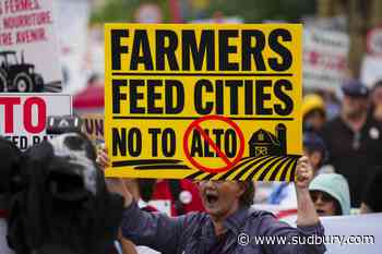 Poilievre tells protesters he would scrap $90 billion Alto high-speed rail project