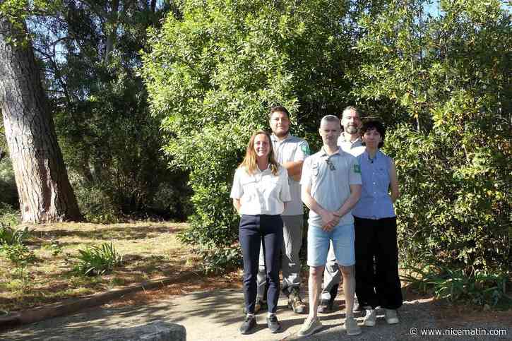 « Cet événement permet de relier enjeux écologiques, climatiques et territoriaux » : la Réserve nationale de la plaine des Maures célèbre dix ans de préservation de sa biodiversité