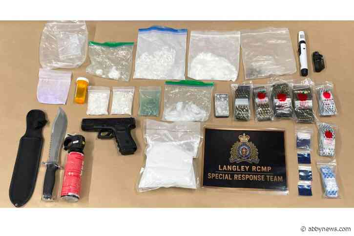 Hunting knife, bear spray, and a kilo of suspected cocaine found in Langley traffic stop