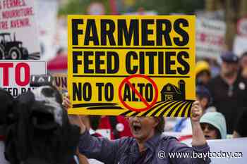 Poilievre tells protesters he would scrap $90 billion Alto high-speed rail project