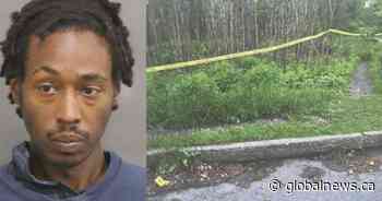 High Park rapist pleads guilty to violent attack 1 year ago