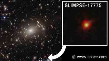 James Webb Space Telescope finds evidence the mysterious 'little red dots' are black hole stars