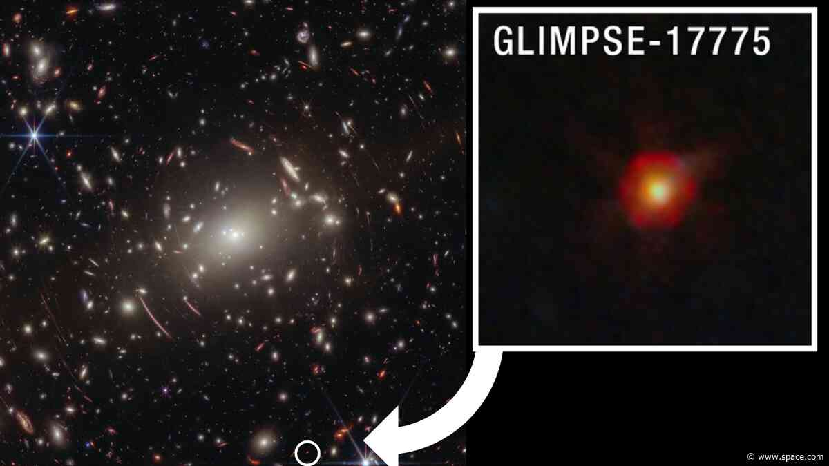 James Webb Space Telescope finds evidence the mysterious 'little red dots' are black hole stars